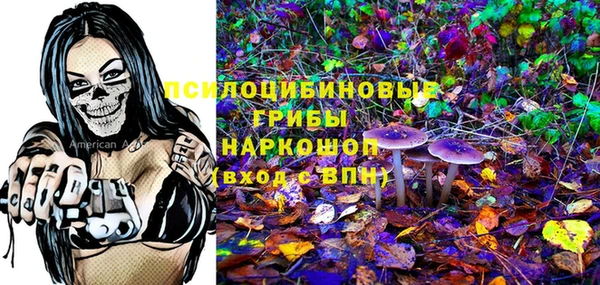 мет Арсеньев