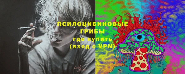 мет Арсеньев