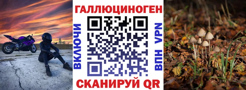 мега вход  Салаир  Псилоцибиновые грибы Psilocybine cubensis 