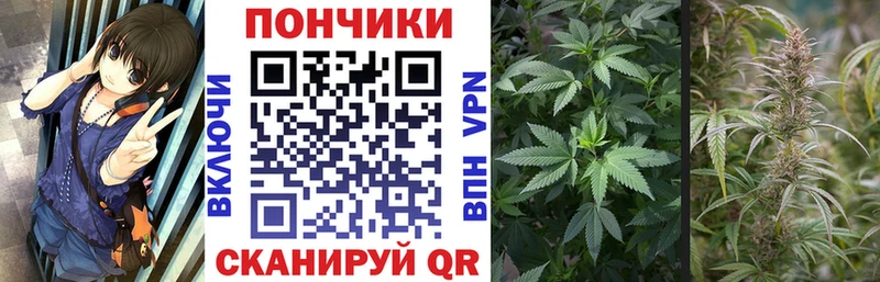 Канабис гибрид Салаир